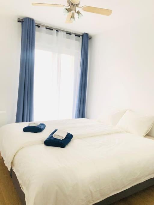 Cosy Apartement Near Geneva Saint-Julien-en-Genevois Zewnętrze zdjęcie